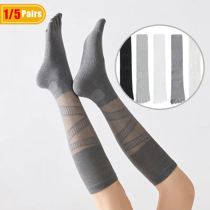 1/5 Pairs Women's Compression  - đánh giá và giá Badminton Netting