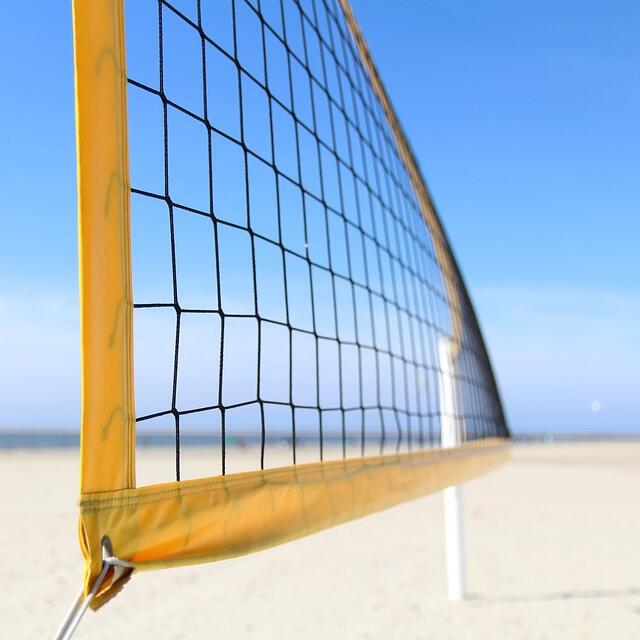 Multi-Purpose Knotted Sports N - đánh giá và giá Badminton Netting