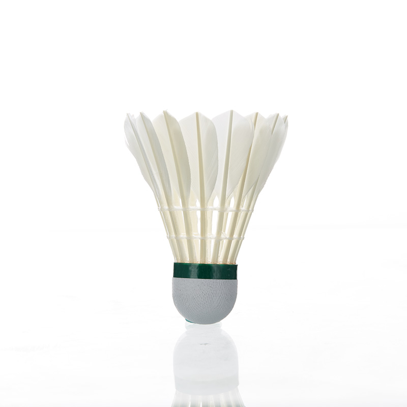 Kawasaki Feather Shuttlecock 8 - đánh giá và giá Badminton Raket