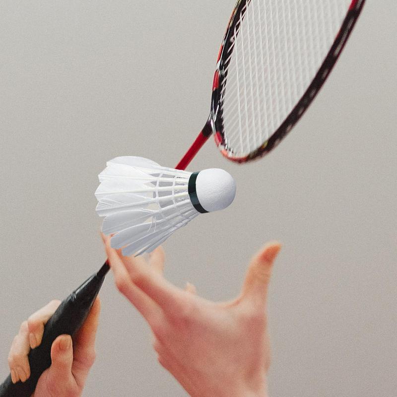 Badminton Ball High Speed Prof - đánh giá và giá Badminton Raket