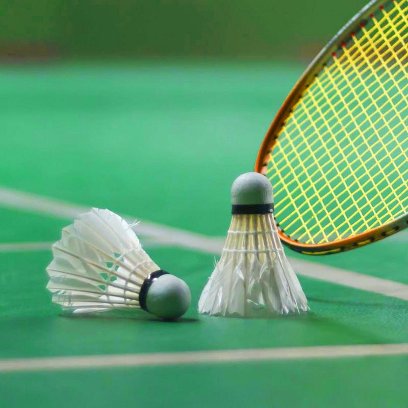 Badminton Ball High Speed Prof - đánh giá và giá Badminton Raket