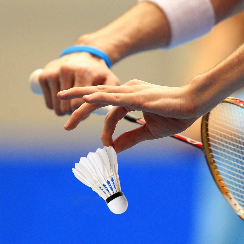 Badminton Ball High Speed Prof - đánh giá và giá Badminton Raket